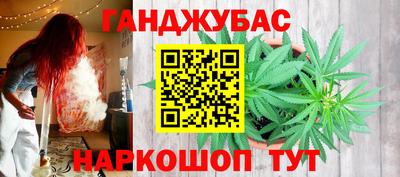 гашик Берёзовский
