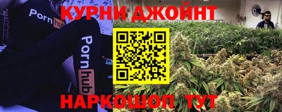 PSILOCYBIN Бийск