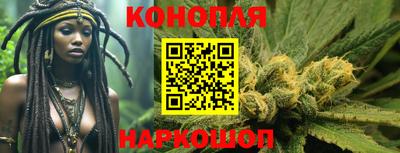 гашик Берёзовский