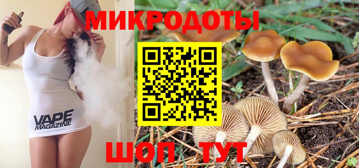 Псилоцибиновые грибы GOLDEN TEACHER  как найти   Псилоцибиновые грибы GOLDEN TEACHER  Каменск-Шахтинский  Вход с VPN 